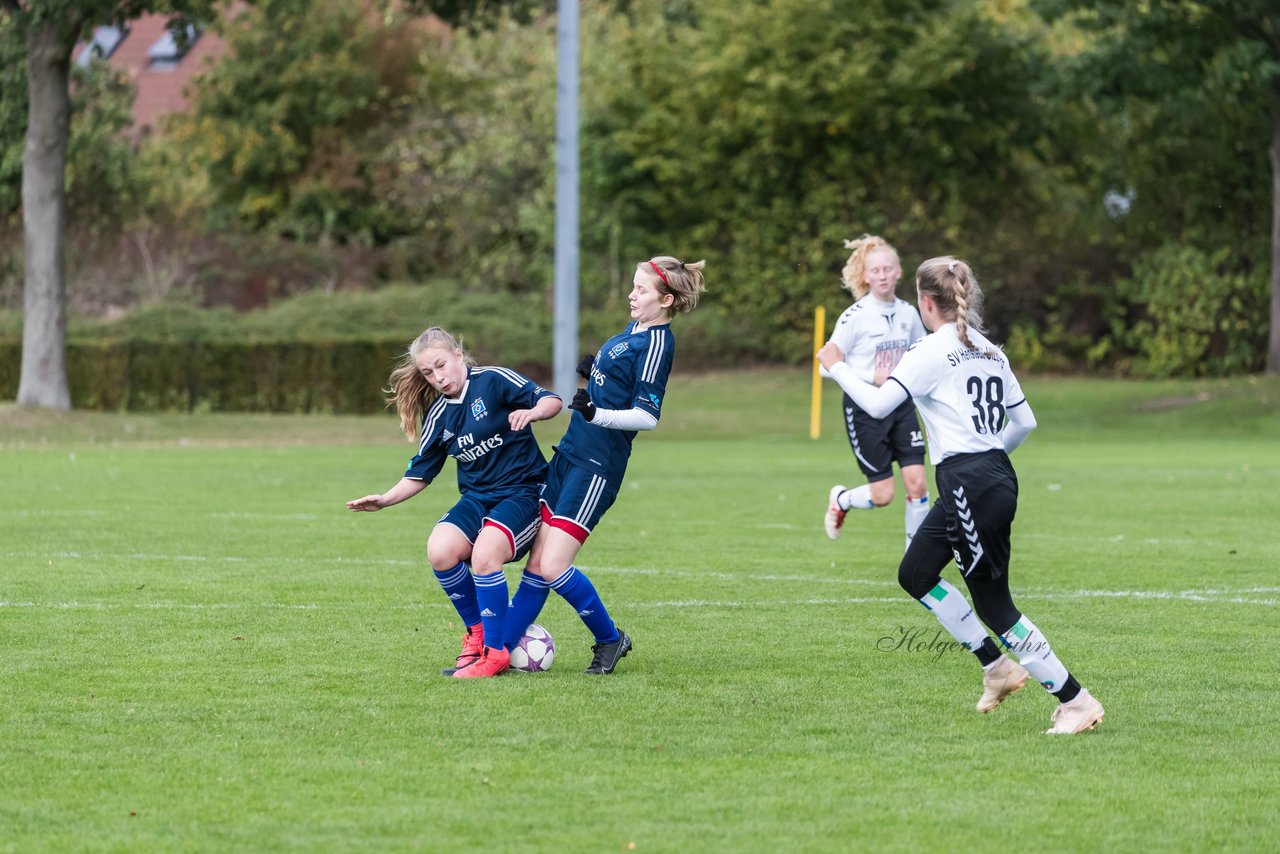 Bild 311 - B-Juniorinnen SV Henstedt Ulzburg - Hamburger SV : Ergebnis: 2:3